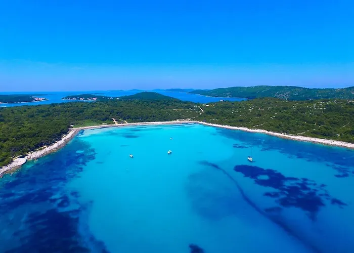 Seaside House Verunic, Dugi Otok - 8126 Hébergement de vacances *