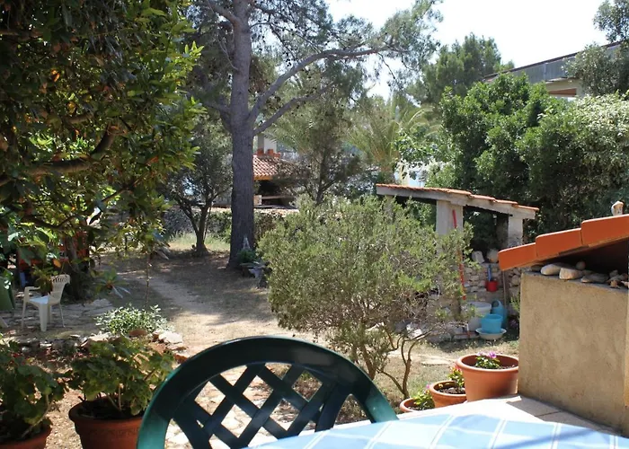 Seaside House Verunic, Dugi Otok - 8126 Hébergement de vacances
