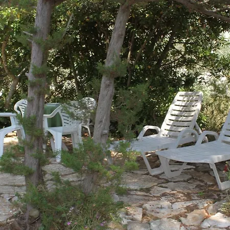 Seaside House Verunic, Dugi Otok - 8126
