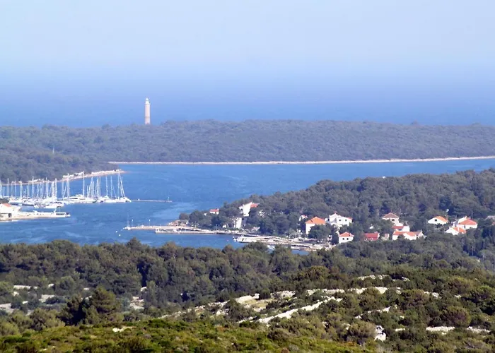 度假居 Seaside House Verunic, Dugi Otok - 8126 韦利拉特